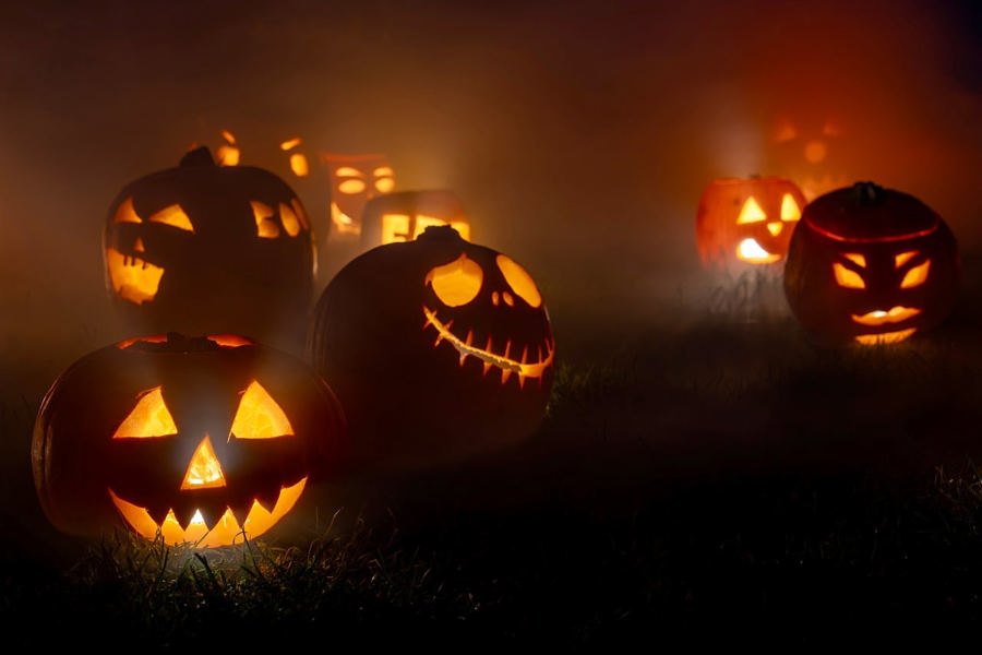 Foto: Pixabay / suju-foto