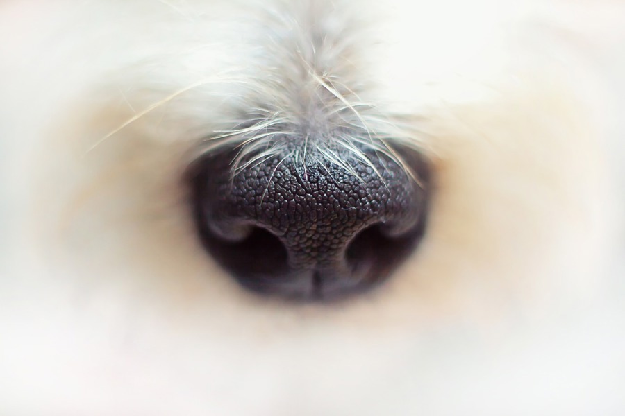 Slika je simbolična! (Foto: Pixabay)