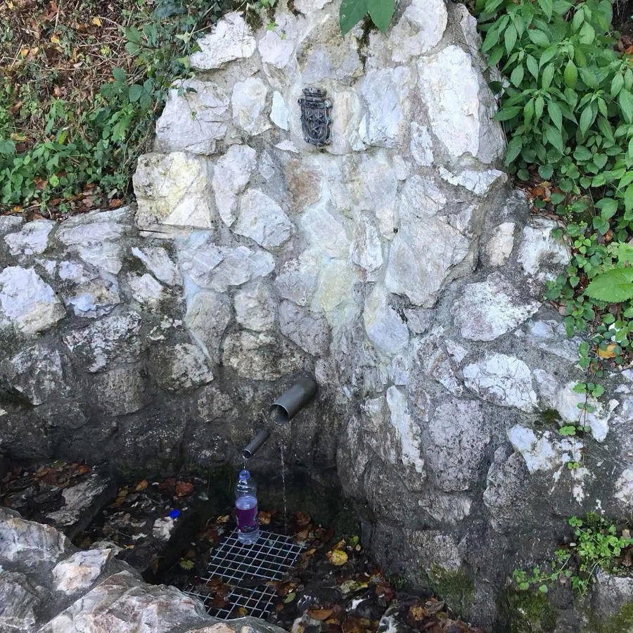 Foto: Mestna občina Celje