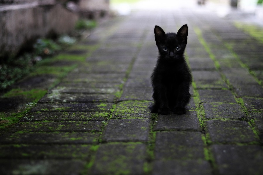 Slika je simbolična! (Foto: Pixabay)
