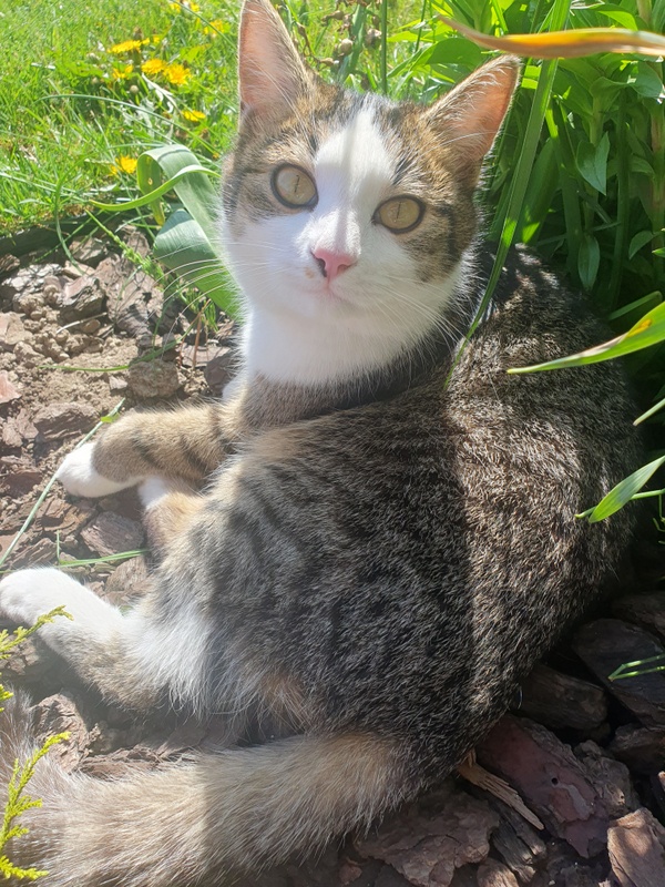 Eros