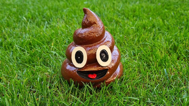 Slika je simbolična! (Pixabay)
