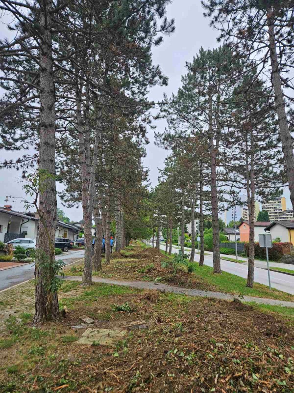 foto: Mestna občina Velenje