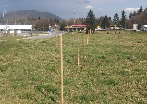 Foto: Občina Žalec