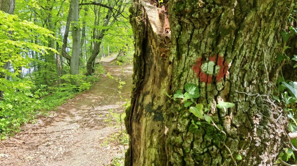 foto: TD Štore