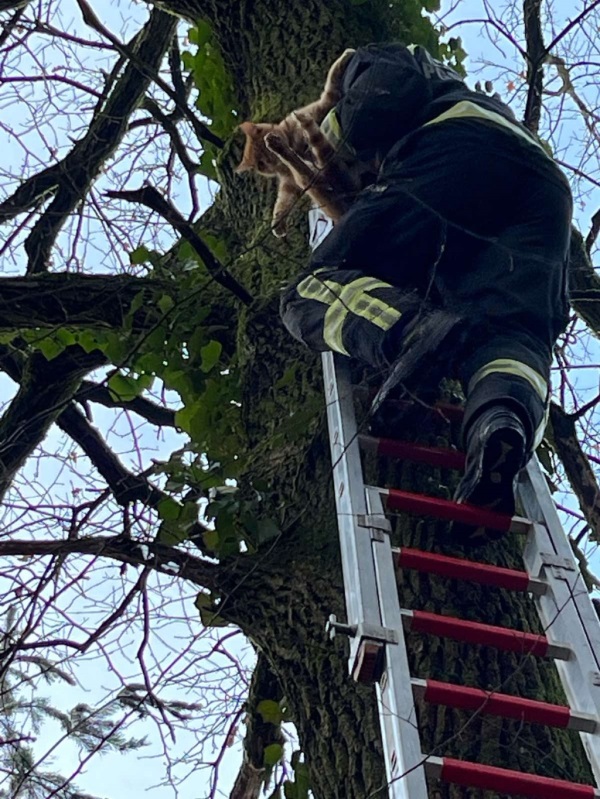 foto: Policijska uprava Celje