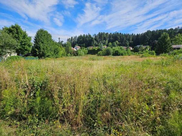 foto: Mestna občina Velenje