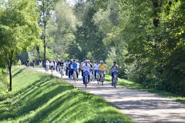 foto: Gregor Katič