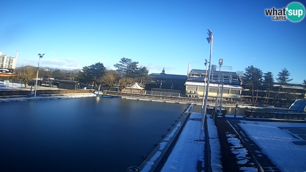 foto: ZPO Celje