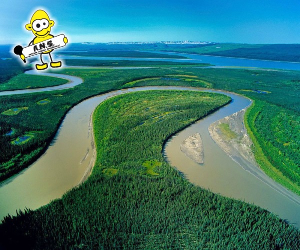 Amazonka