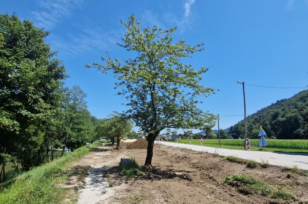 Foto: Mestna občina Celje
