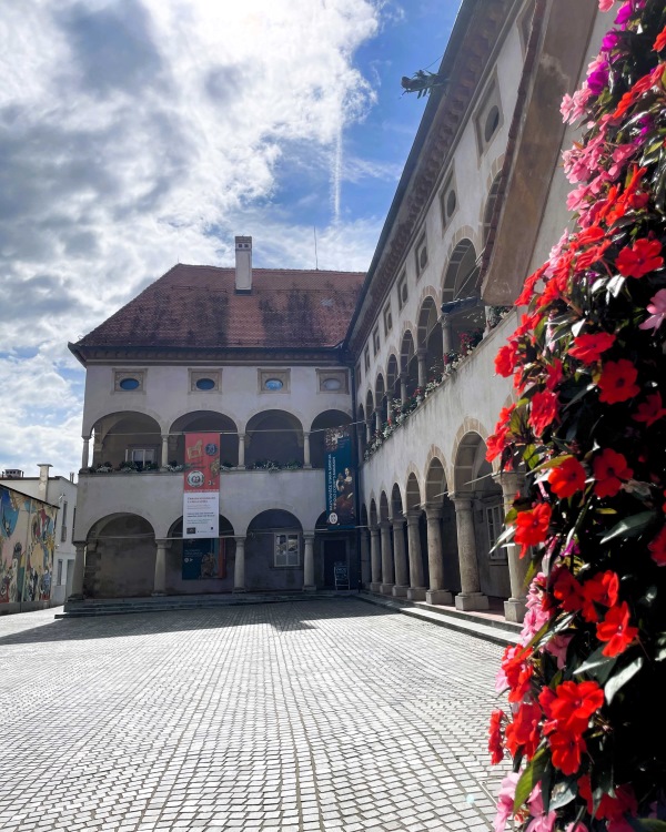 Foto: Mestna občina Celje